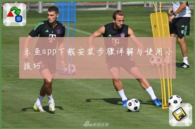 乐鱼app下载安装步骤详解与使用小技巧
