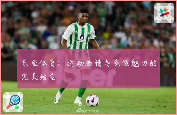 乐鱼体育：运动激情与竞技魅力的完美结合