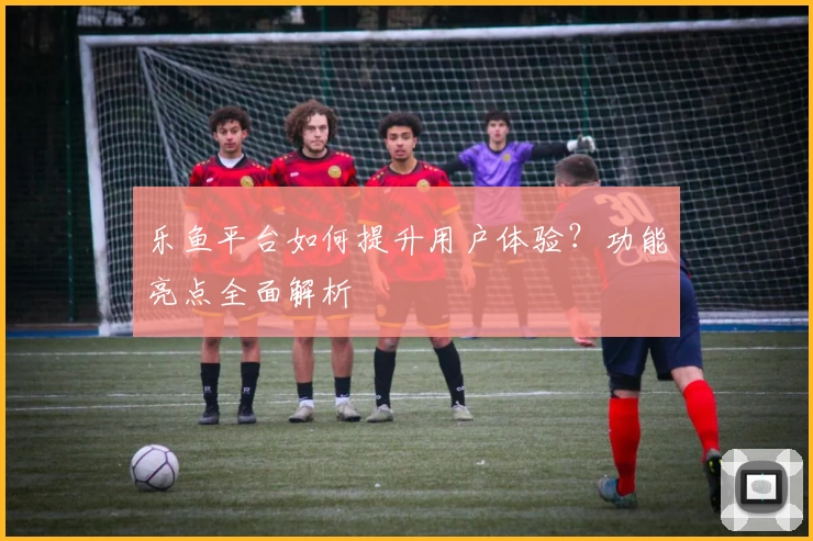 乐鱼平台如何提升用户体验？功能亮点全面解析