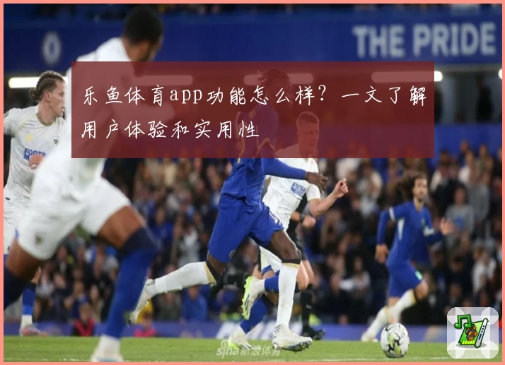 乐鱼体育app功能怎么样？一文了解用户体验和实用性